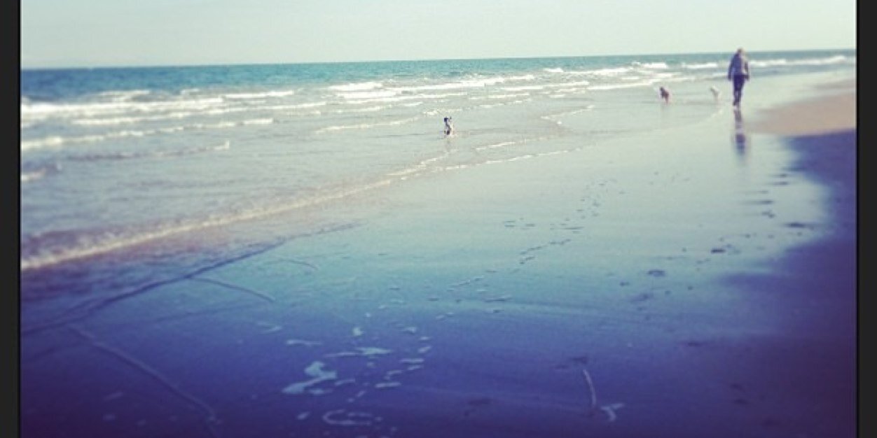 Abigail Cunningham banner