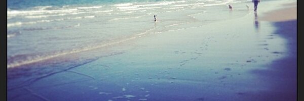 abic_c Profile Banner