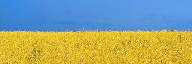 StilesMoz's profile banner image