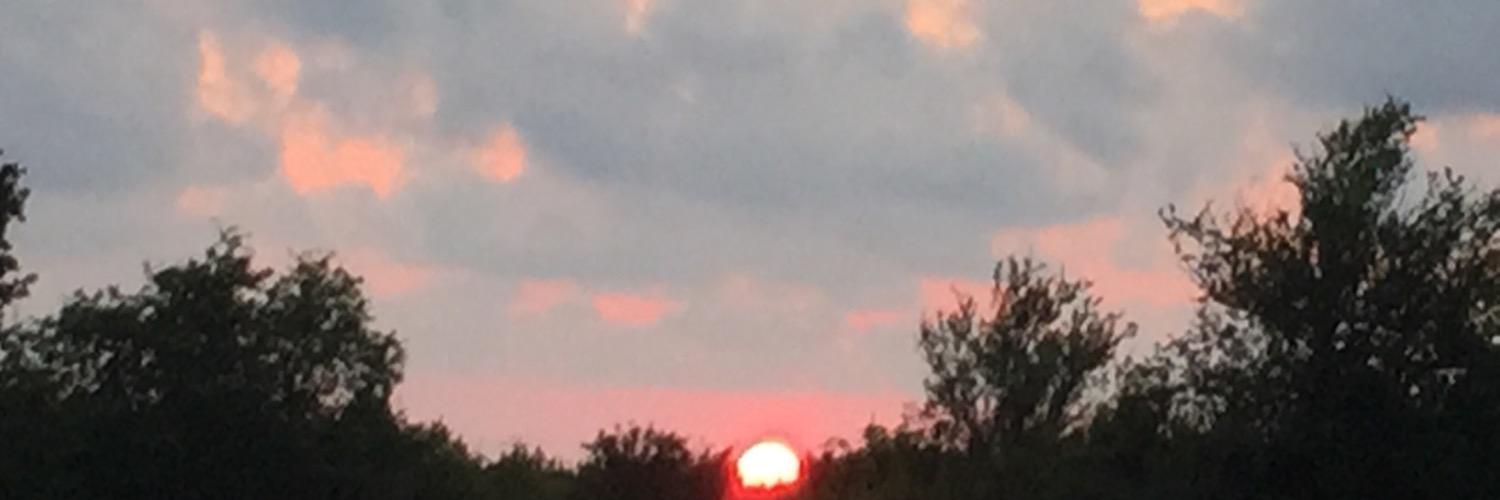 sirinhalil16's profile banner image