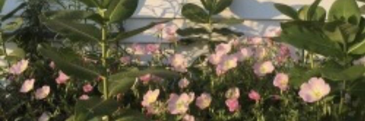 gdrsnoa's profile banner image