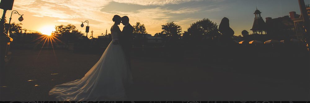 alfiesthecat's profile banner image