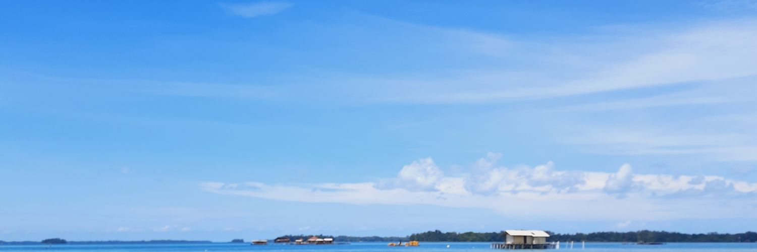 rikadynt's profile banner image