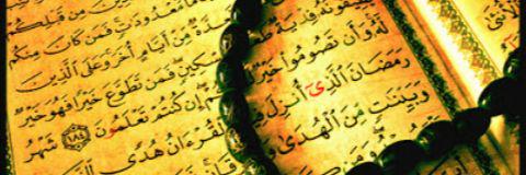 mennaaelsayed2's profile banner image