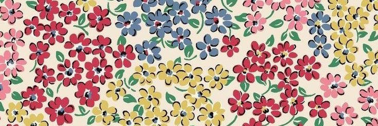 KPetriccione's profile banner image