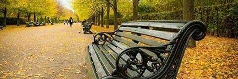 serdari_hakan's profile banner image