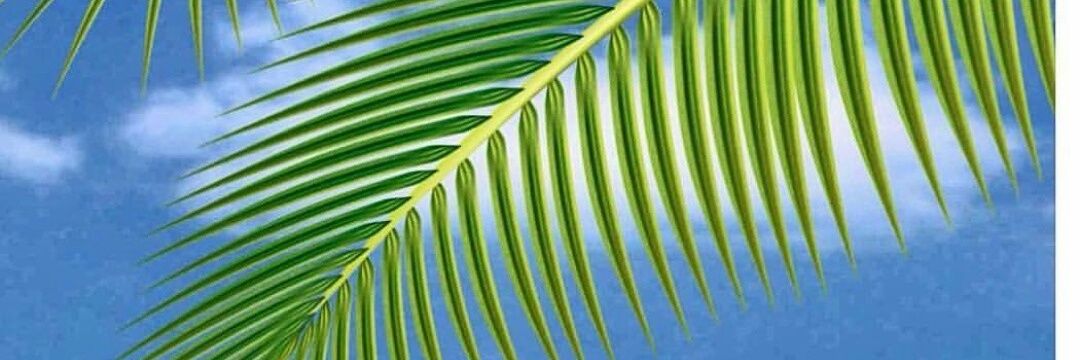AafiyahHealth's profile banner image