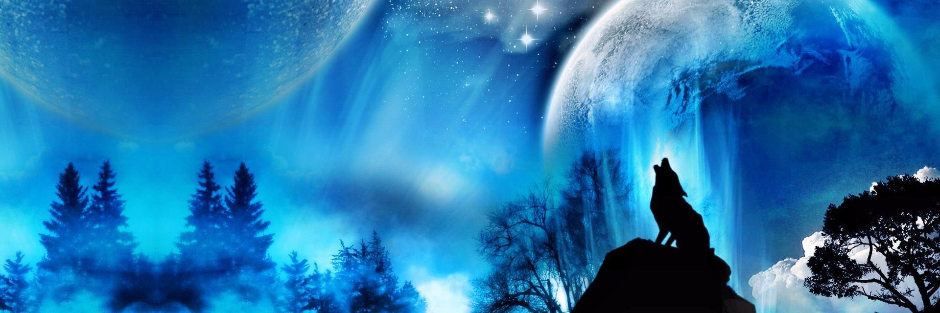 WolFranck's profile banner image