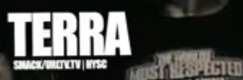 TERRA THE MAYOR's banner