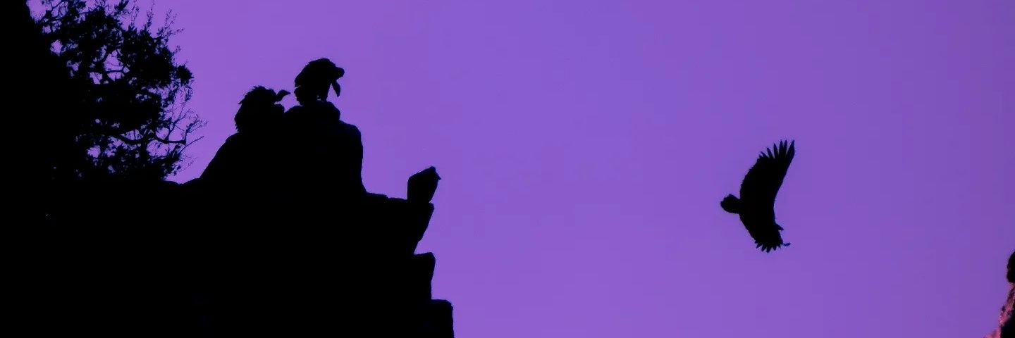 martings99's profile banner image