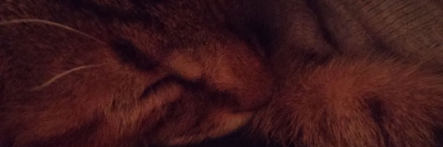 MoonAsleep's profile banner image