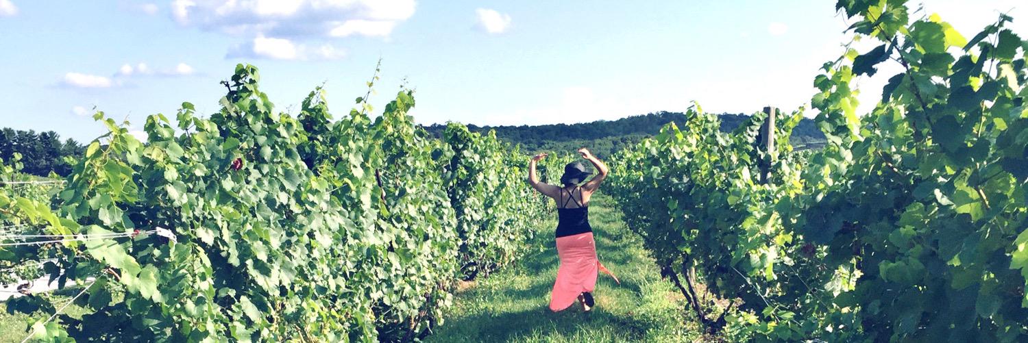 Danielle Costa banner