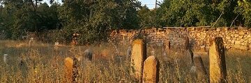 elifbirge's profile banner image