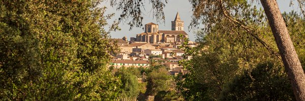 ajsineu Profile Banner