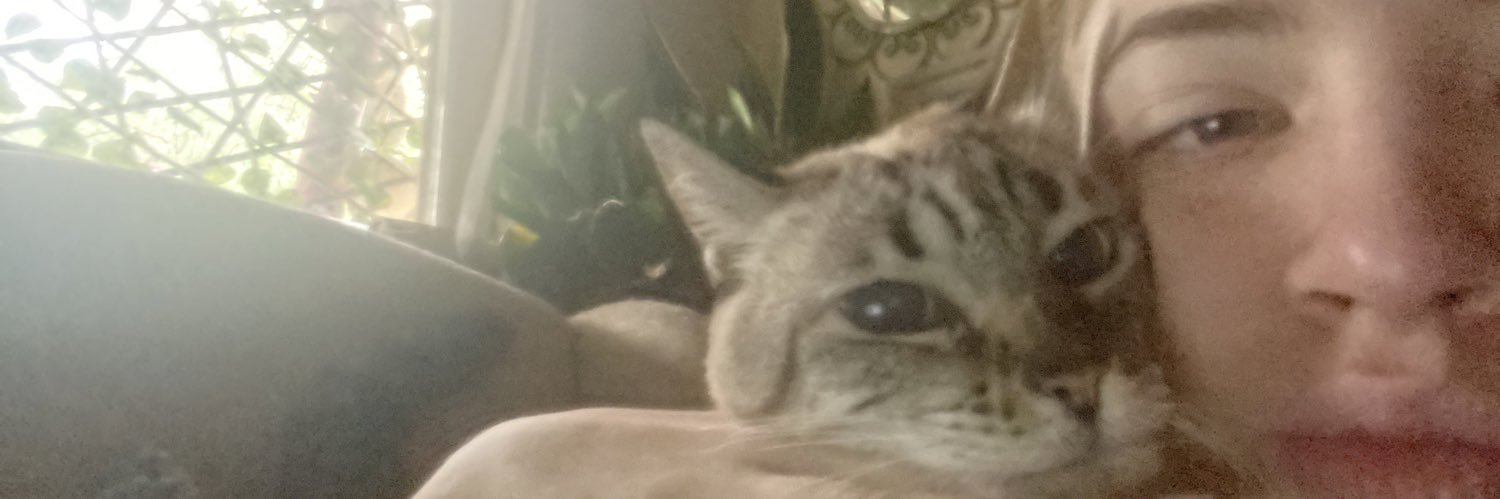 giluckbell's profile banner image
