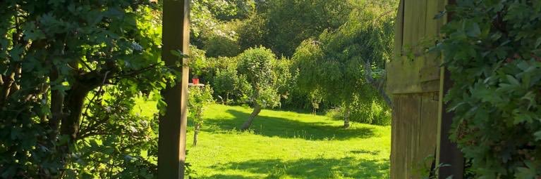 Ronnie Campbell banner