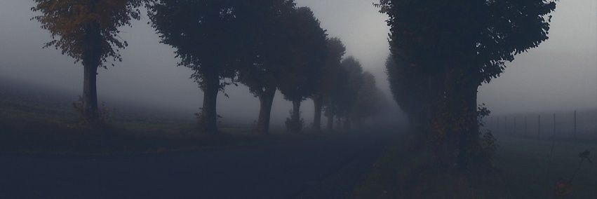 0__0em's profile banner image