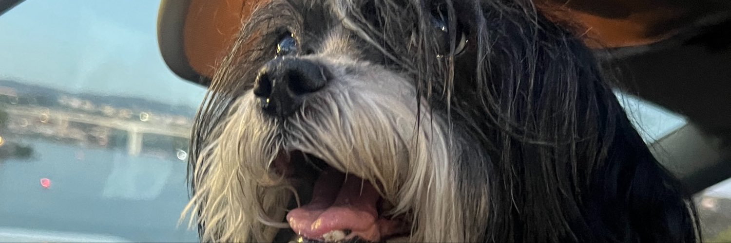 mabnifica's profile banner image