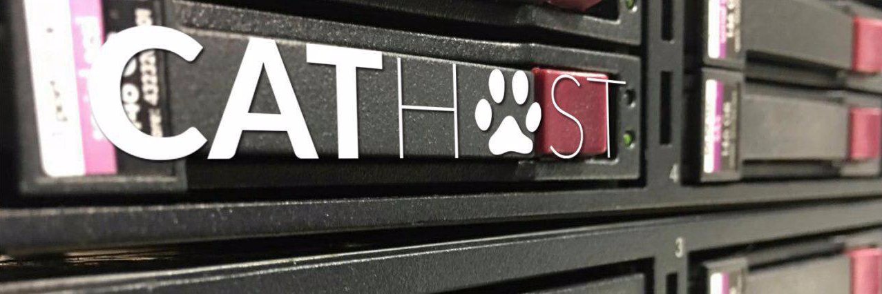 CatHost_FR's profile banner image