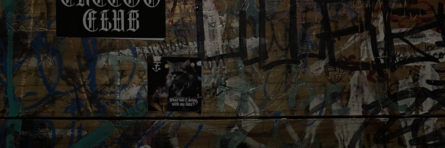 annicerin's profile banner image