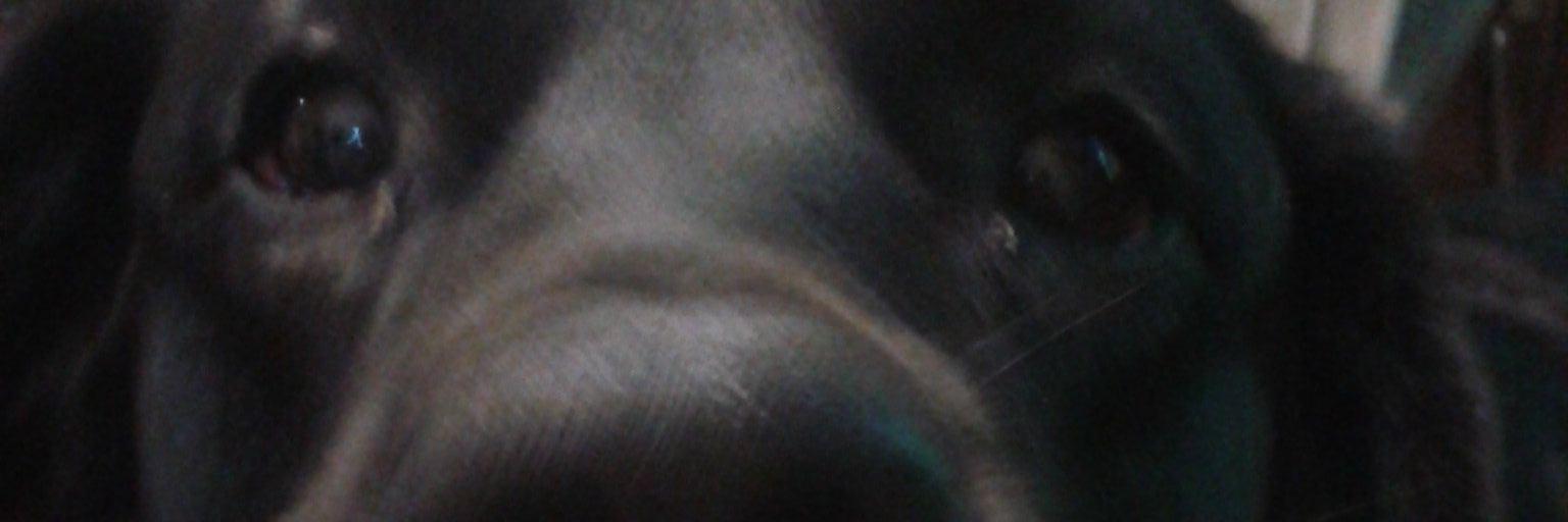 manuelsempe's profile banner image