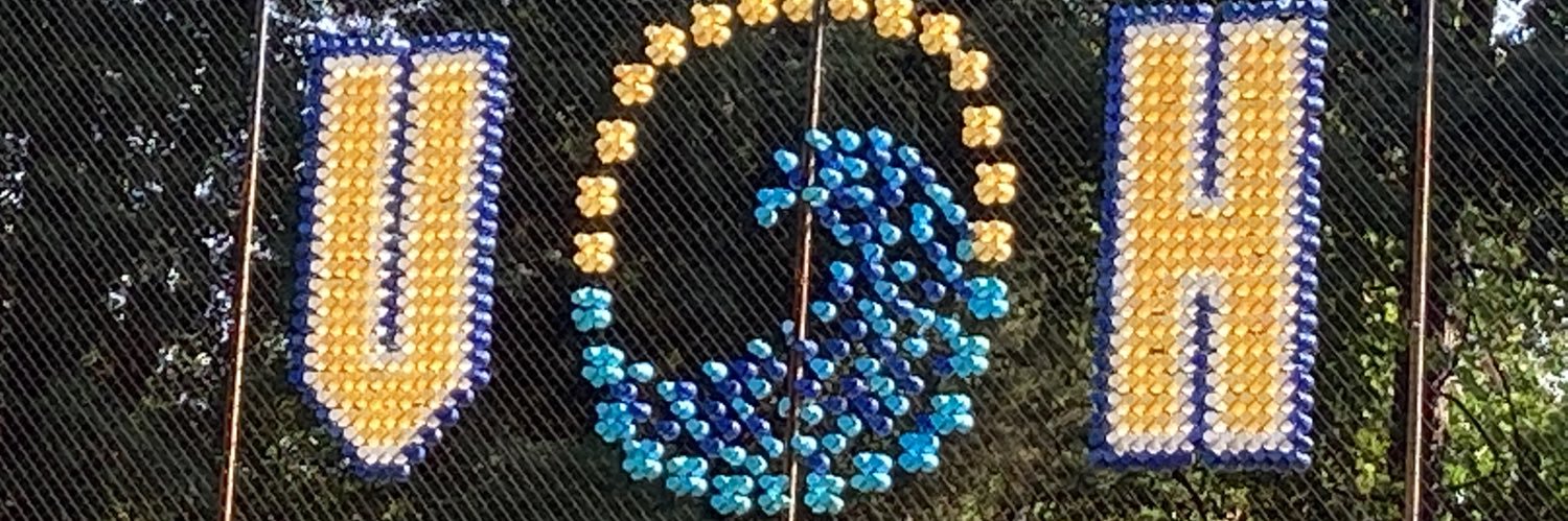 Virginia Hills Tidal Wave banner