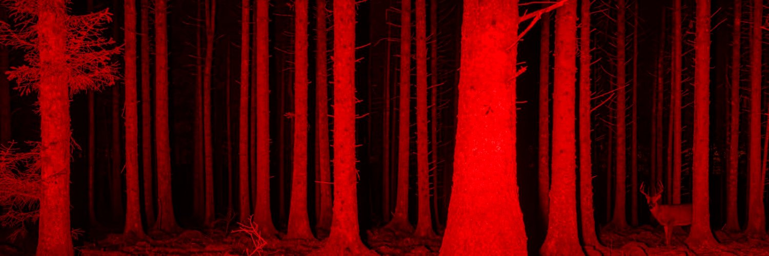 Enfant sauvage banner