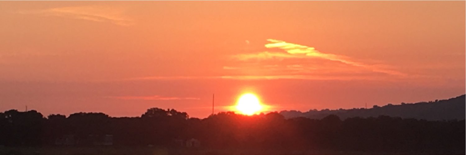 ClaireHartman16's profile banner image