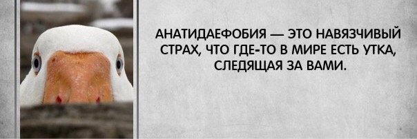 No_73_ru's profile banner image