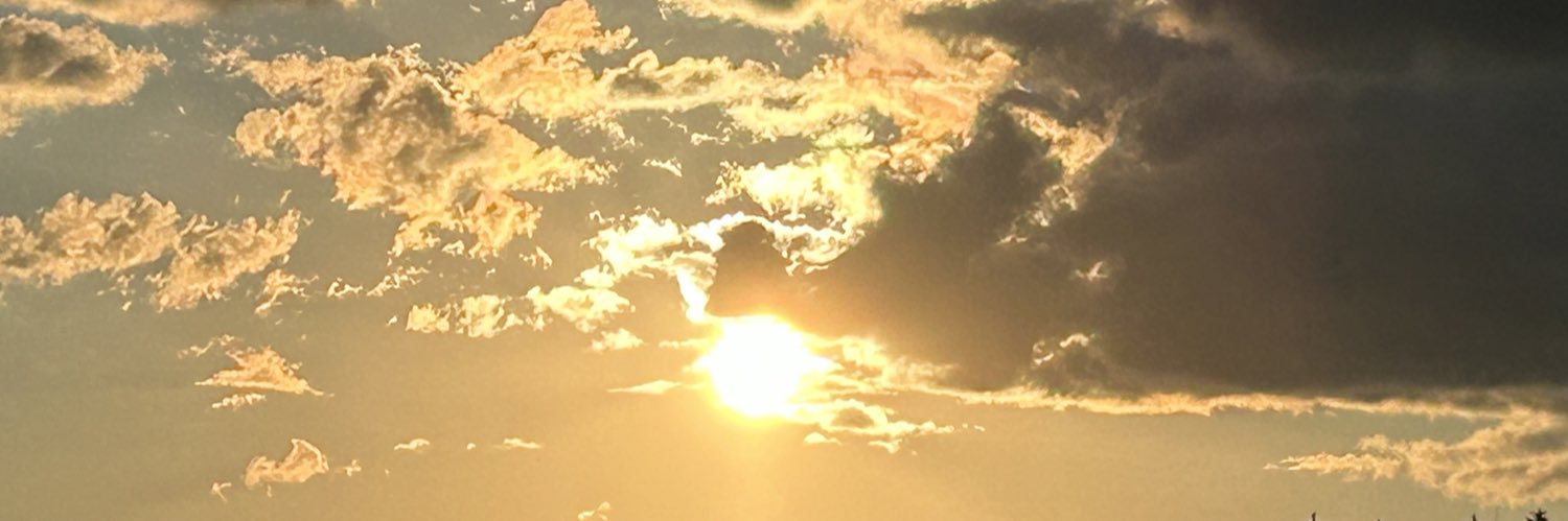 RenaudMicheline's profile banner image