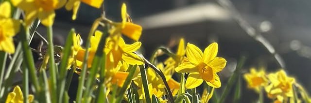Natalie_err's profile banner image