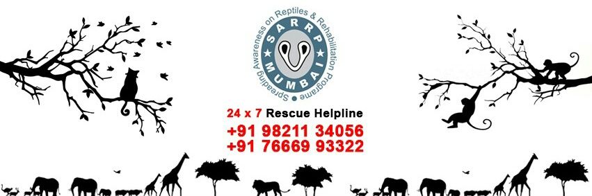 SARRP_India's profile banner image
