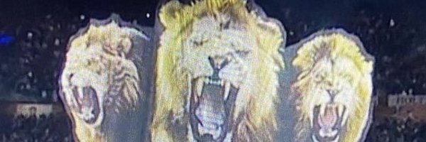 judyderb Profile Banner