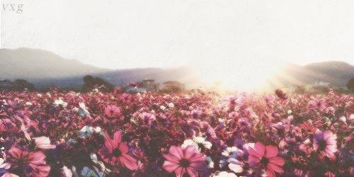 geofanithiaa's profile banner image