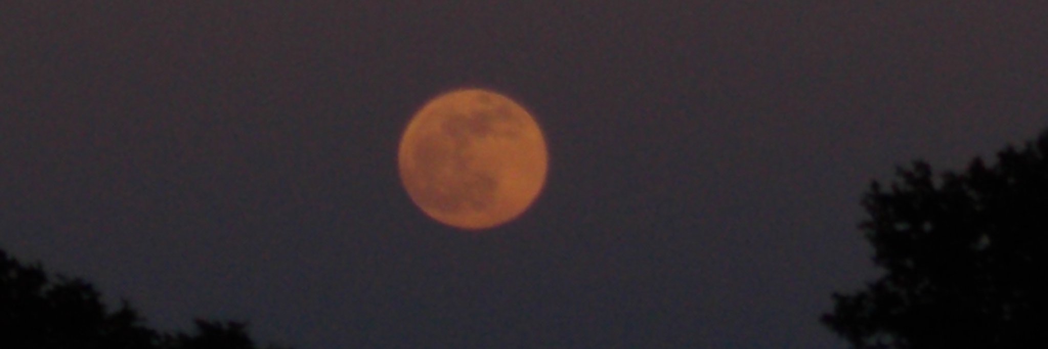 Cody Zimmerman banner
