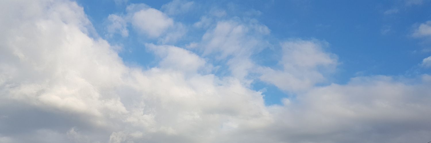 Caroline Vu banner