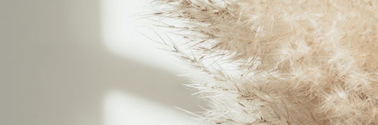 beabouchard94's profile banner image