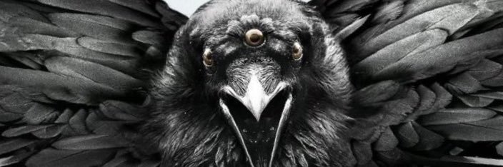 lilabijr's profile banner image