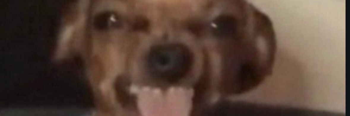 patricksjnr_ose's profile banner image