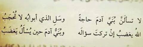 Amany26495's profile banner image