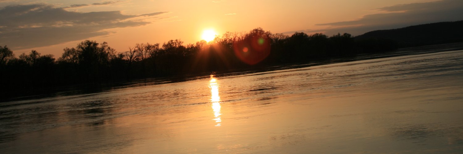 Keely_Rees's profile banner image
