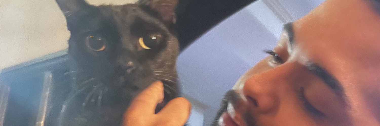 BrendaRomanoSi1's profile banner image