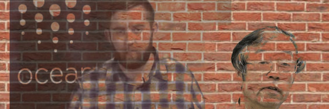 iliketurtles&CCIP banner