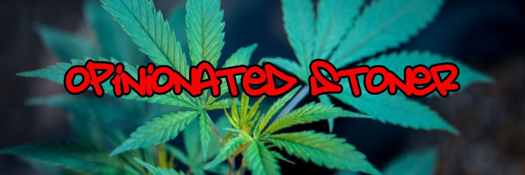 Small_Wooo's profile banner image