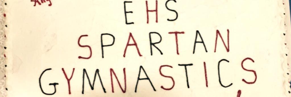 ehighgymnastics's profile banner image