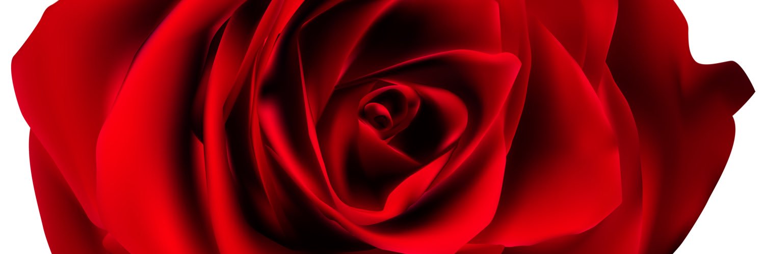 Sxrvur's profile banner image