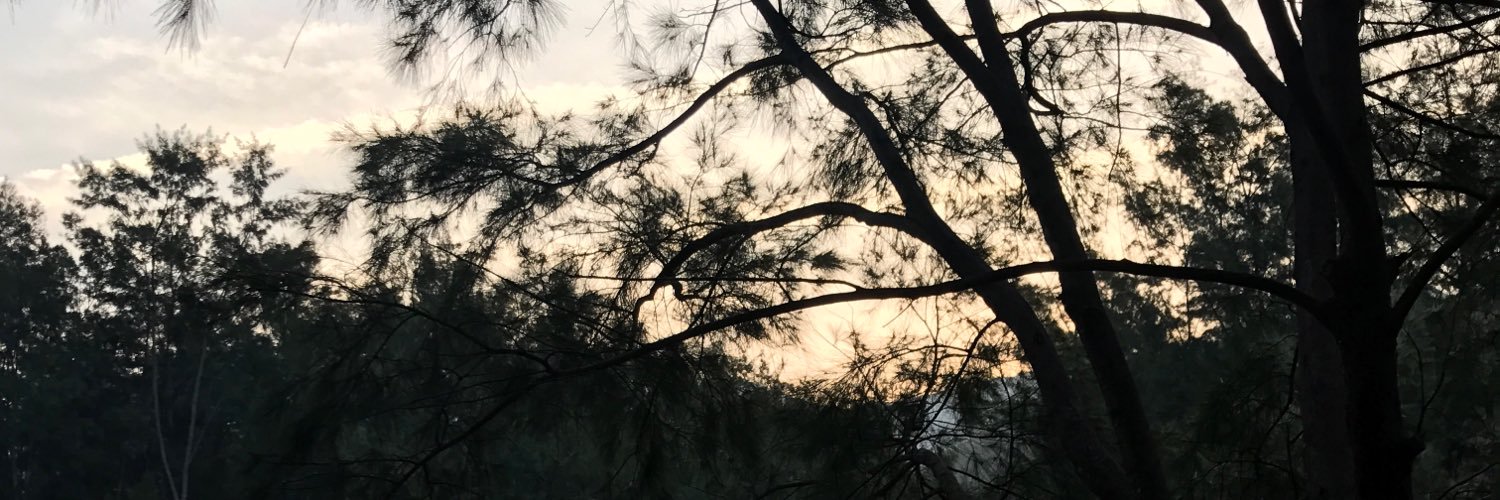 handsdownJC's profile banner image