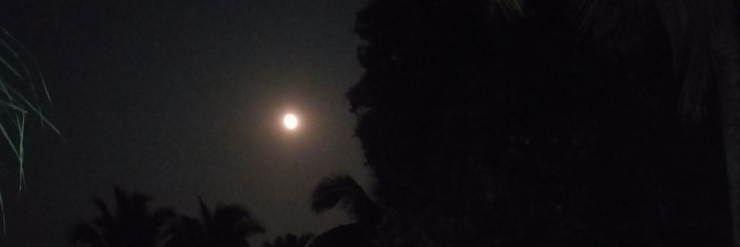 PriyaaNambiar's profile banner image