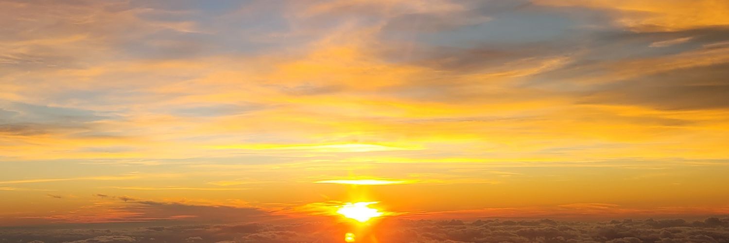 APP banner