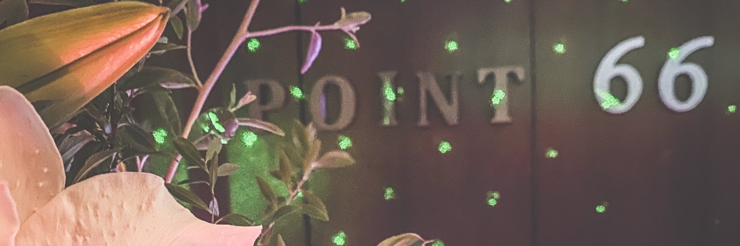 point_66's profile banner image